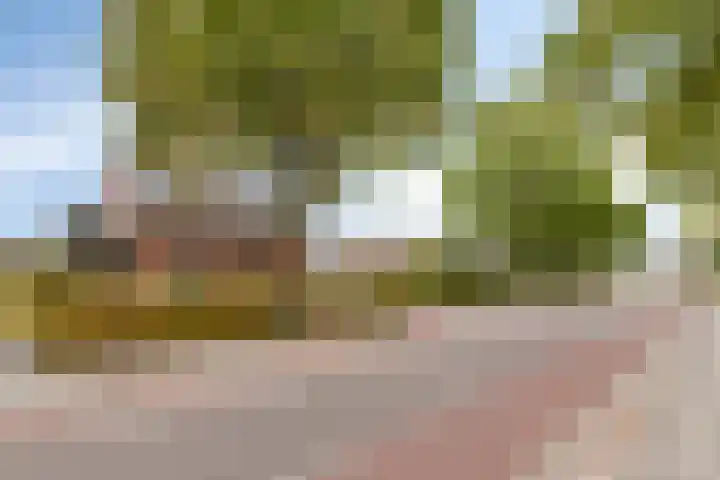 Grensweg 5 Gastel thumbnail 6