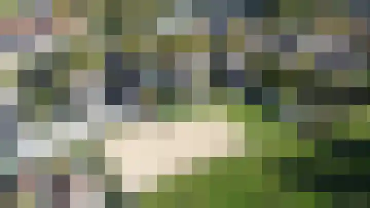 Grensweg 5 Gastel thumbnail 60
