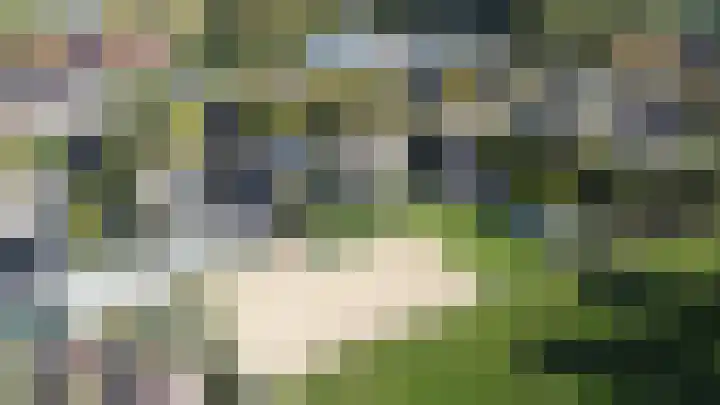 Grensweg 5 Gastel thumbnail 61