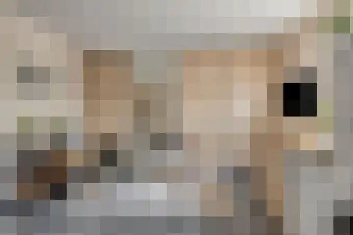 Grensweg 5 Gastel thumbnail 8