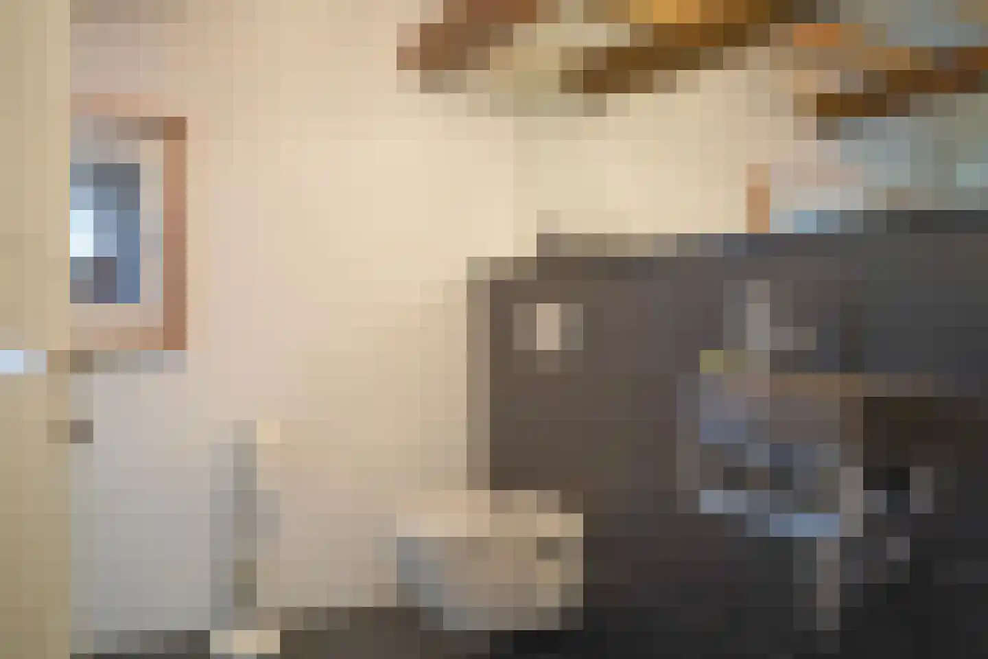 Grensweg 5 Winterswijk Woold thumbnail 27