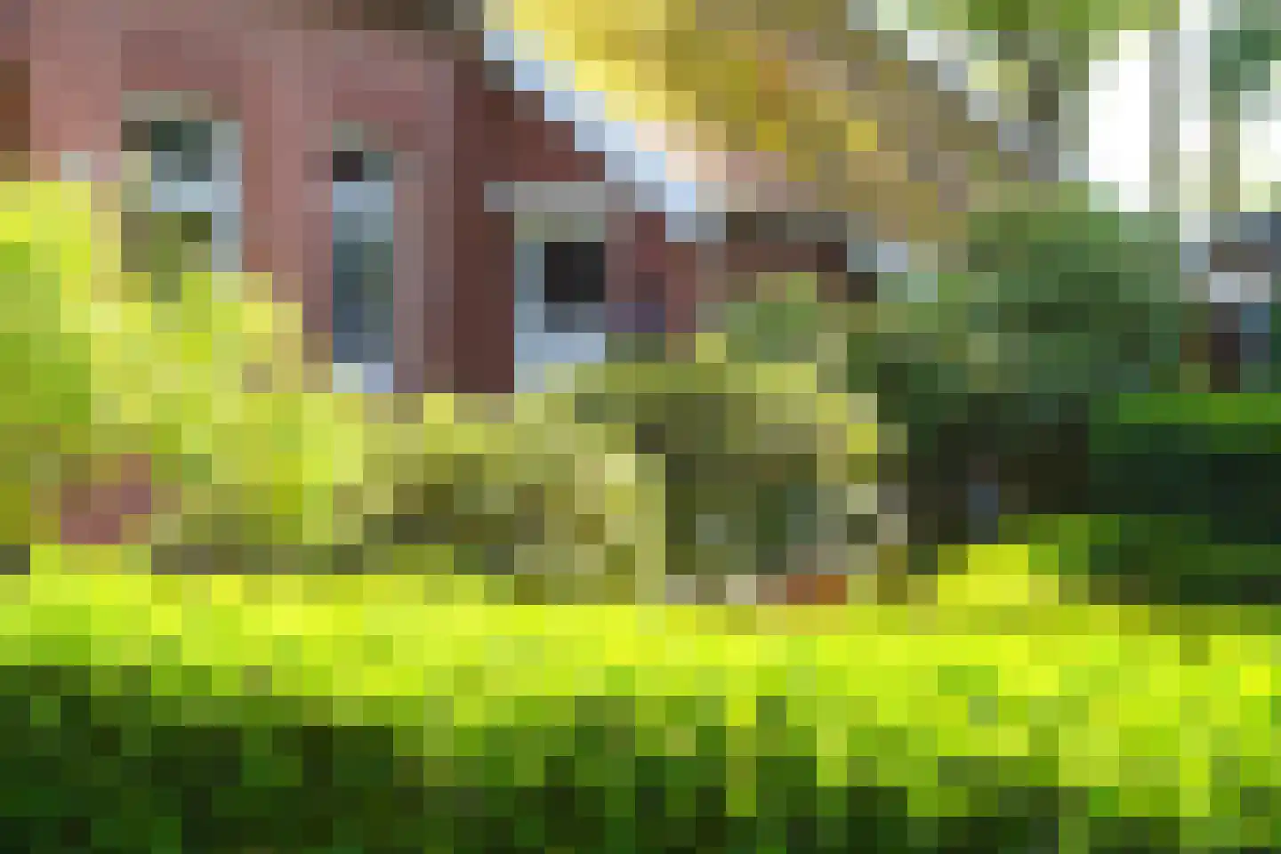 Grensweg 5 Winterswijk Woold thumbnail 39