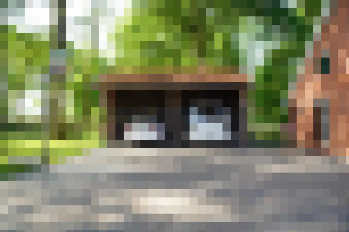 Grensweg 5 Winterswijk Woold thumbnail 8