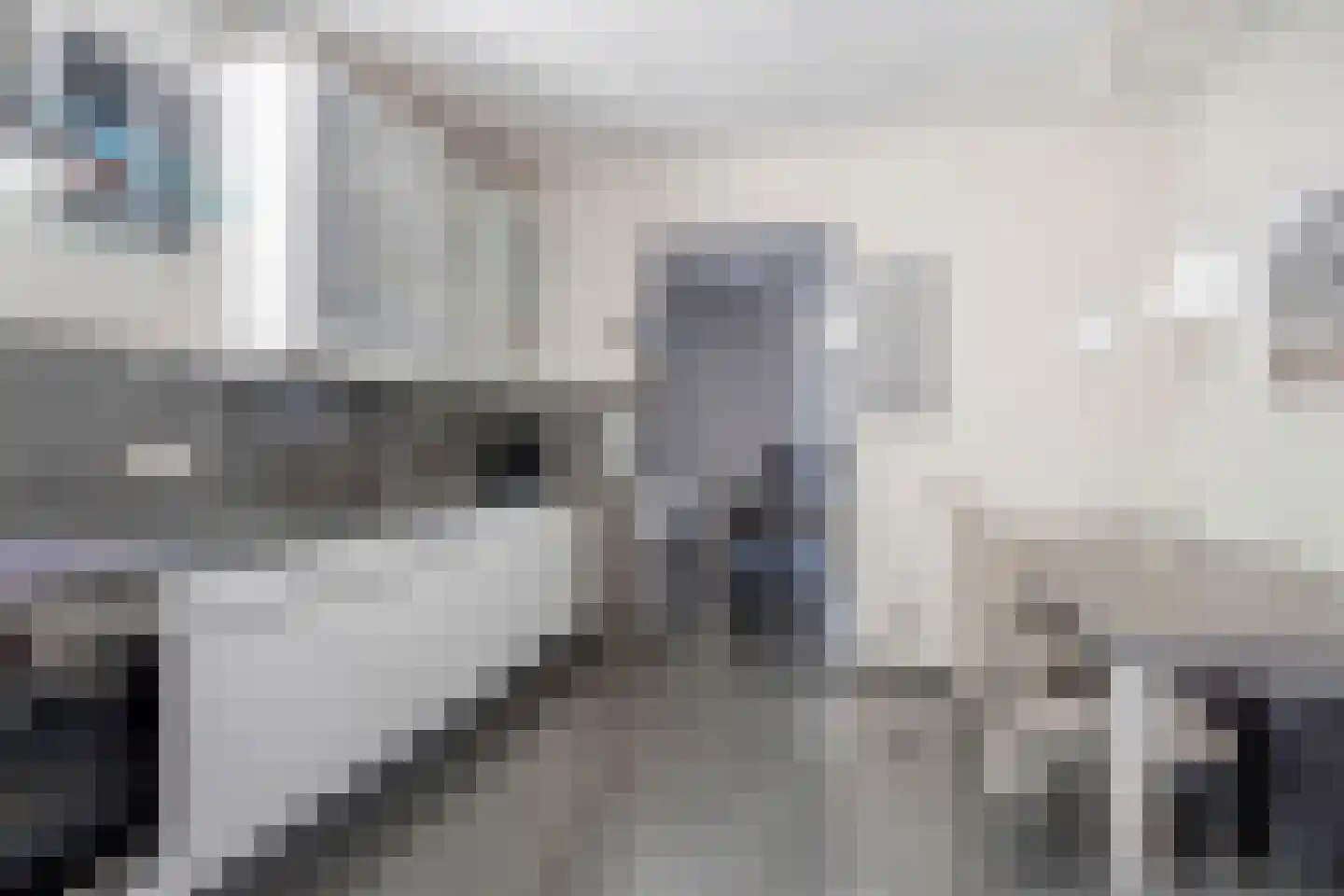 Grensweg 53 c Budel thumbnail 11