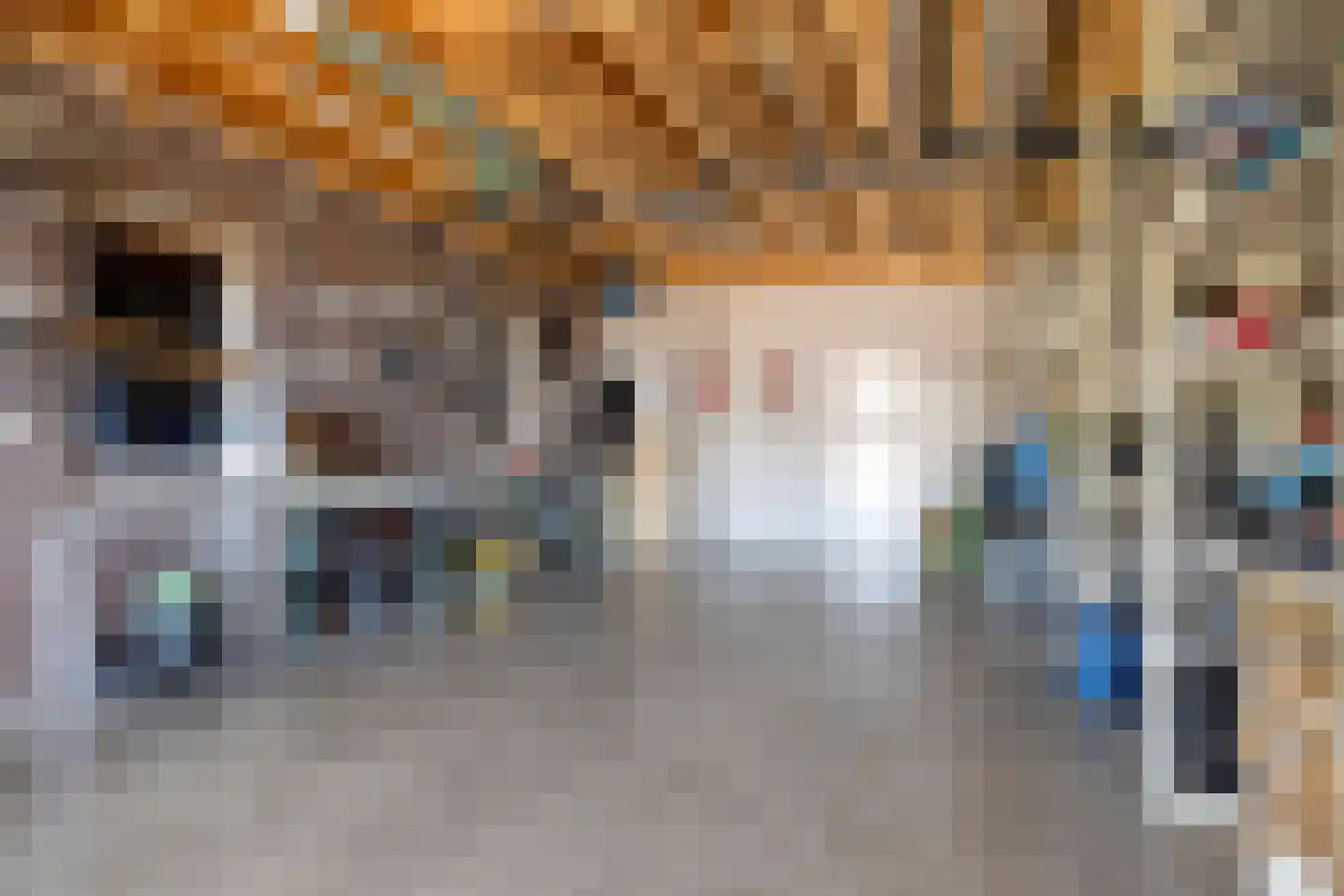 Grensweg 53 c Budel thumbnail 17