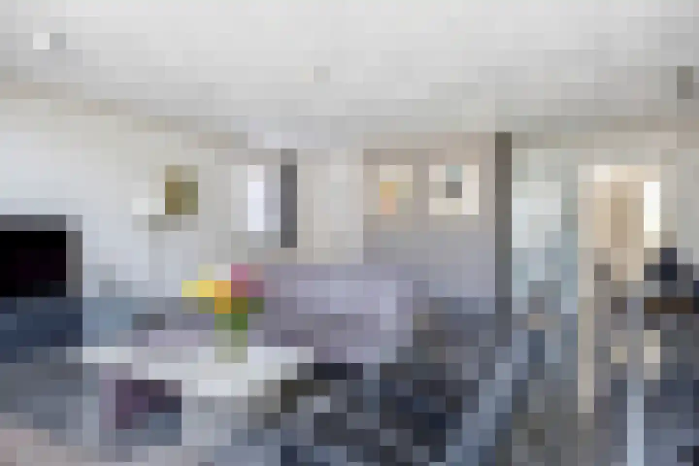 Grensweg 53 c Budel thumbnail 9