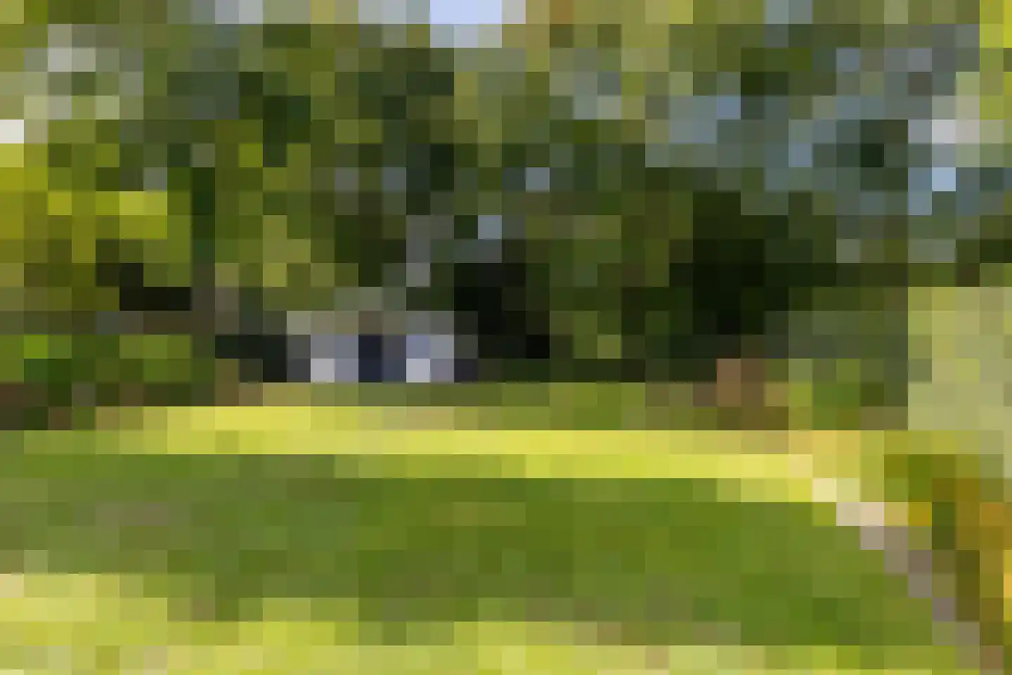 Grensweg 8 b Baarle-Nassau thumbnail 29