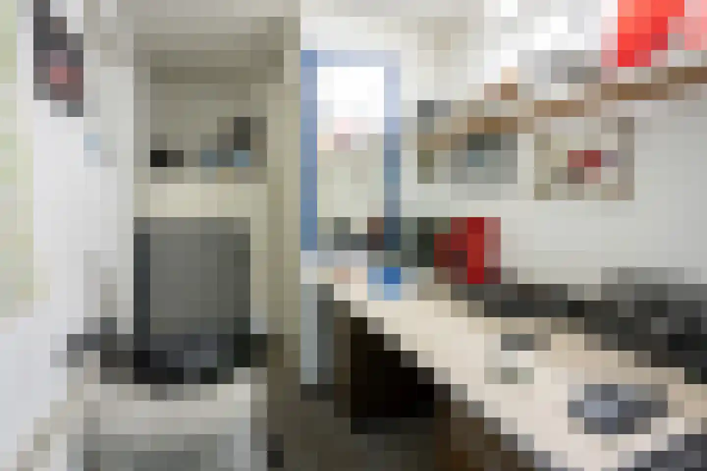 Grensweg 81 Denekamp thumbnail 14