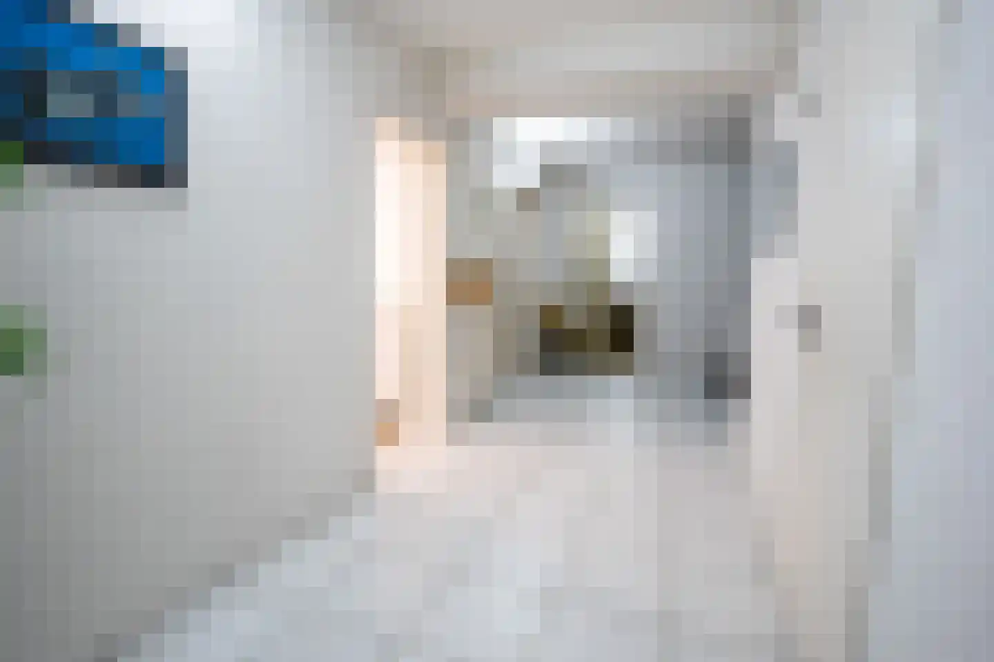 Grensweg 81 Denekamp thumbnail 19