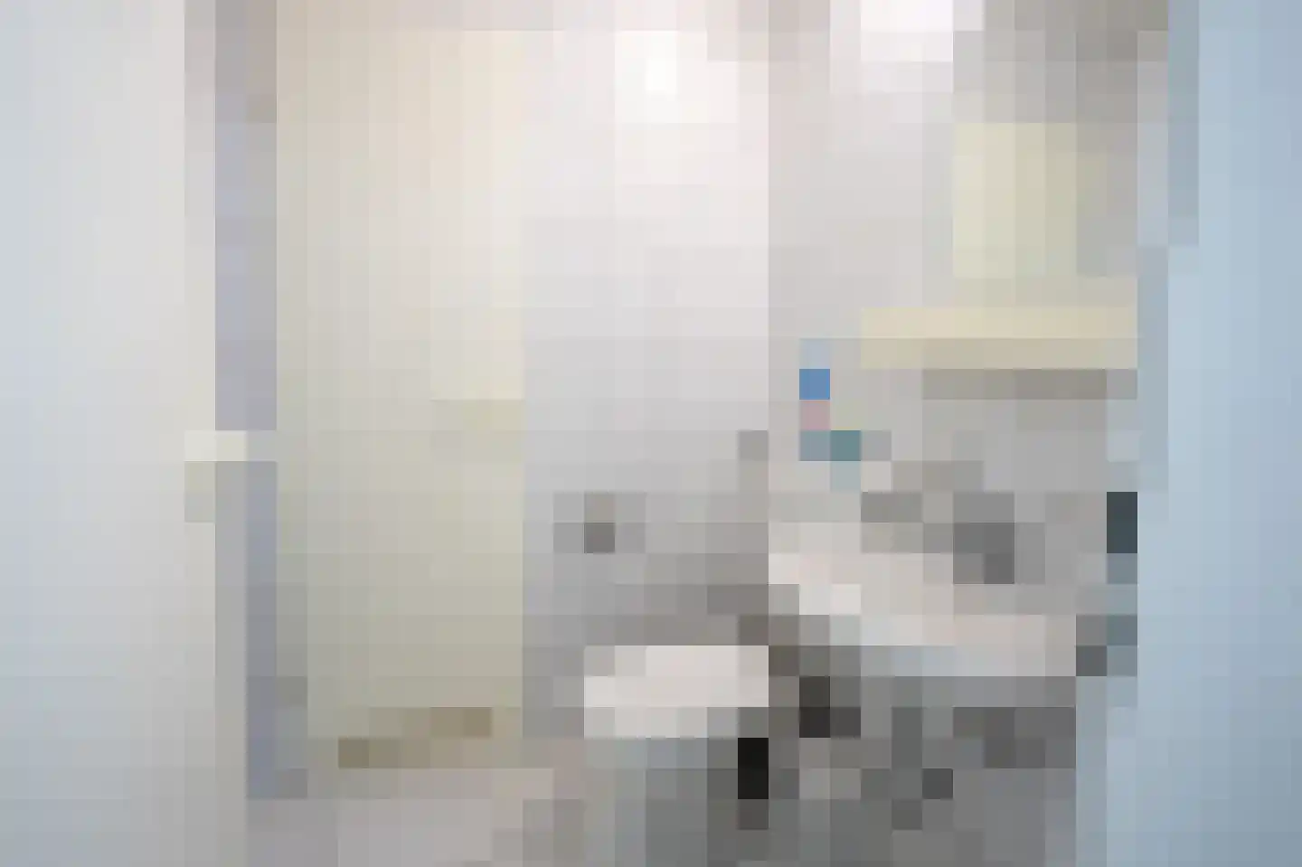 Grensweg 81 Denekamp thumbnail 20