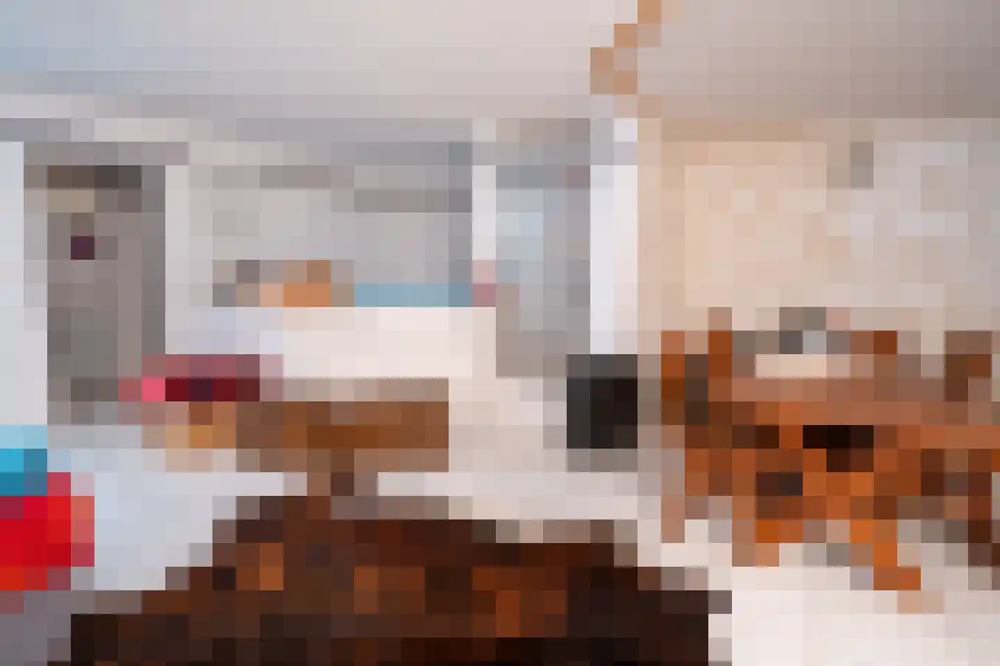 Grensweg 81 Denekamp thumbnail 21