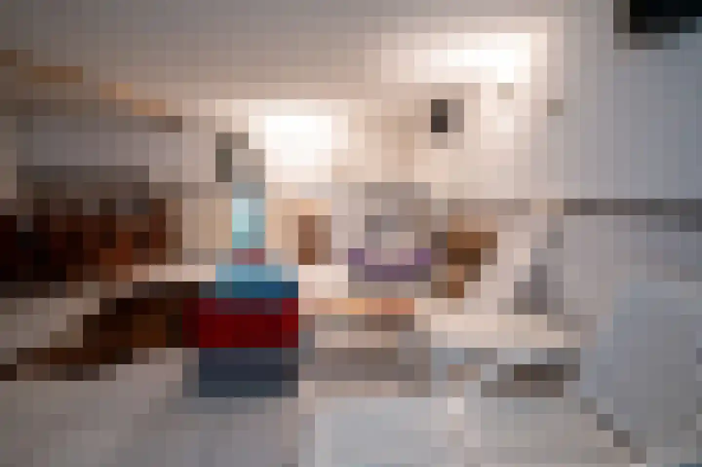 Grensweg 81 Denekamp thumbnail 22