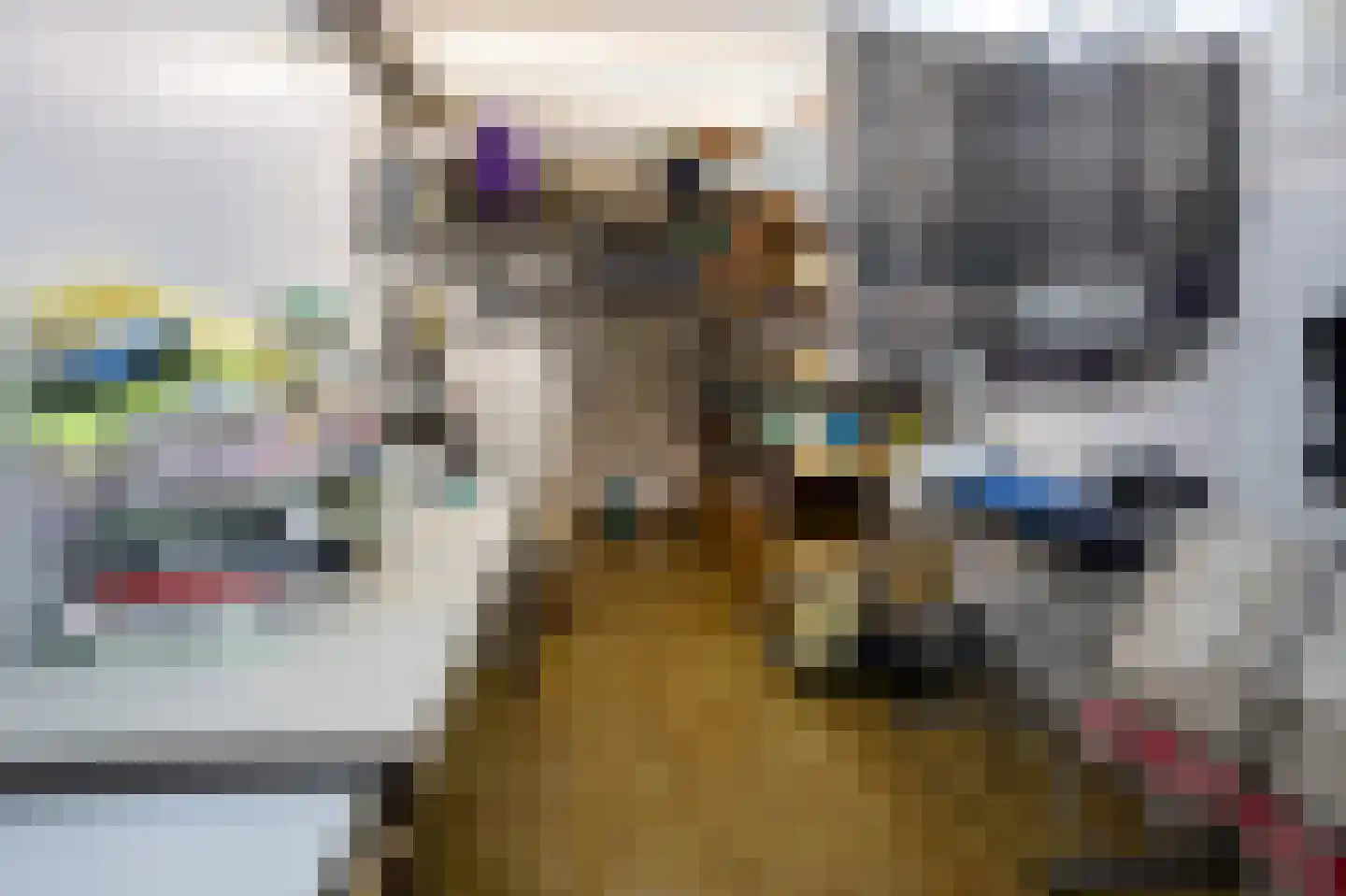 Grensweg 81 Denekamp thumbnail 25