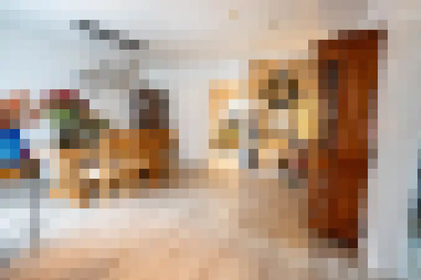 Grensweg 81 Denekamp thumbnail 28