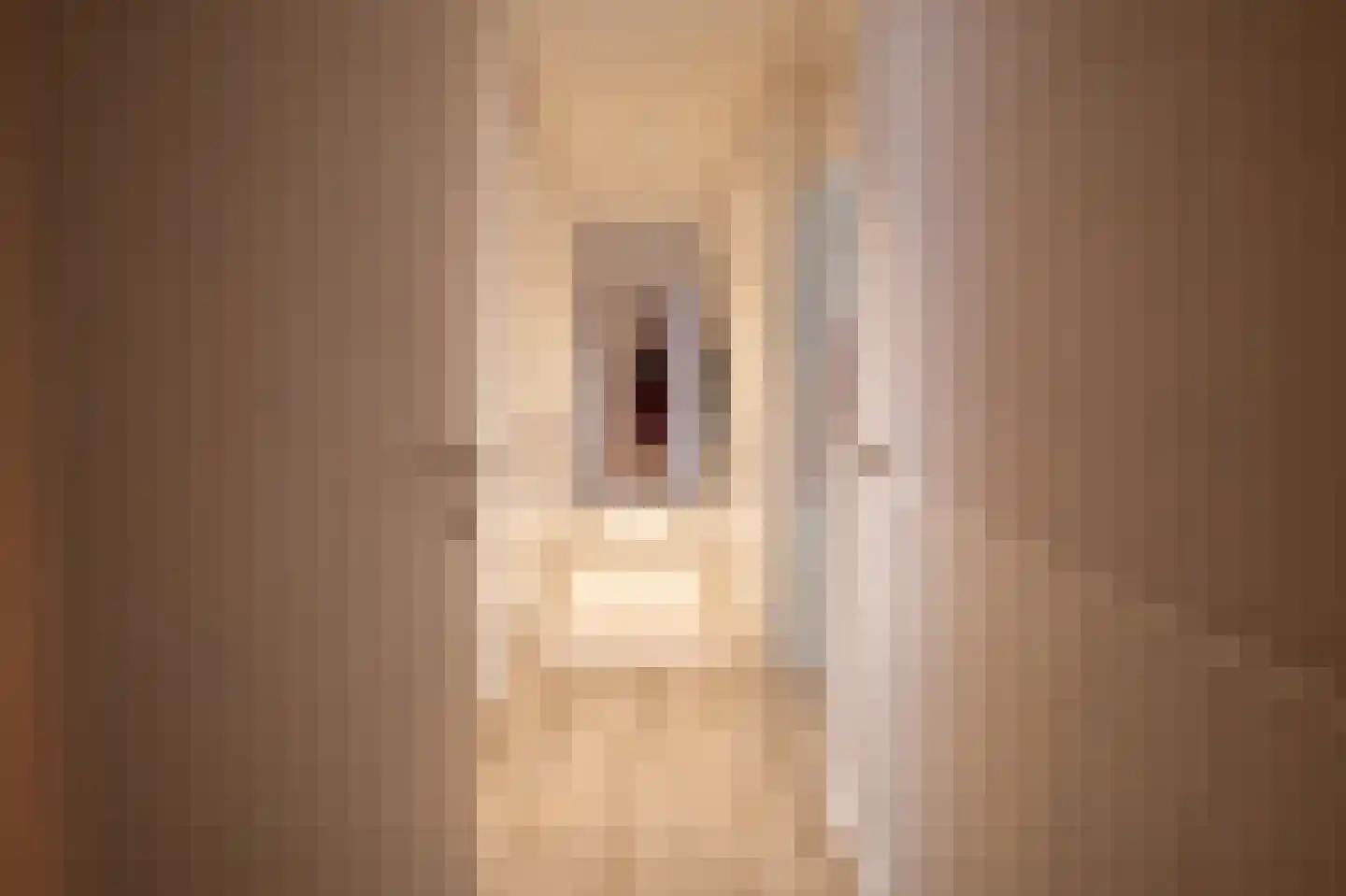 Grensweg 81 Denekamp thumbnail 36