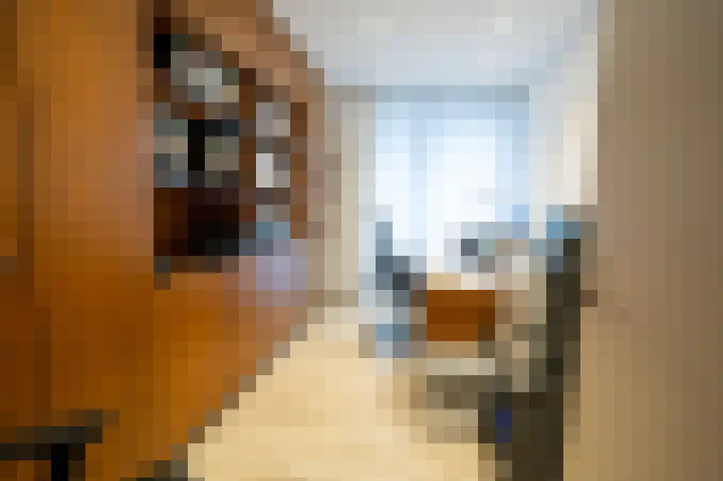 Grensweg 81 Denekamp thumbnail 37