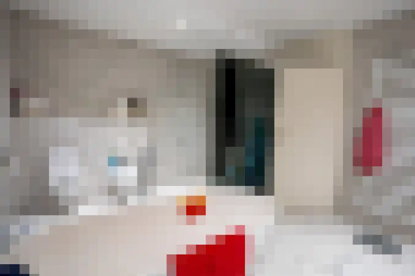 Grensweg 81 Denekamp thumbnail 42