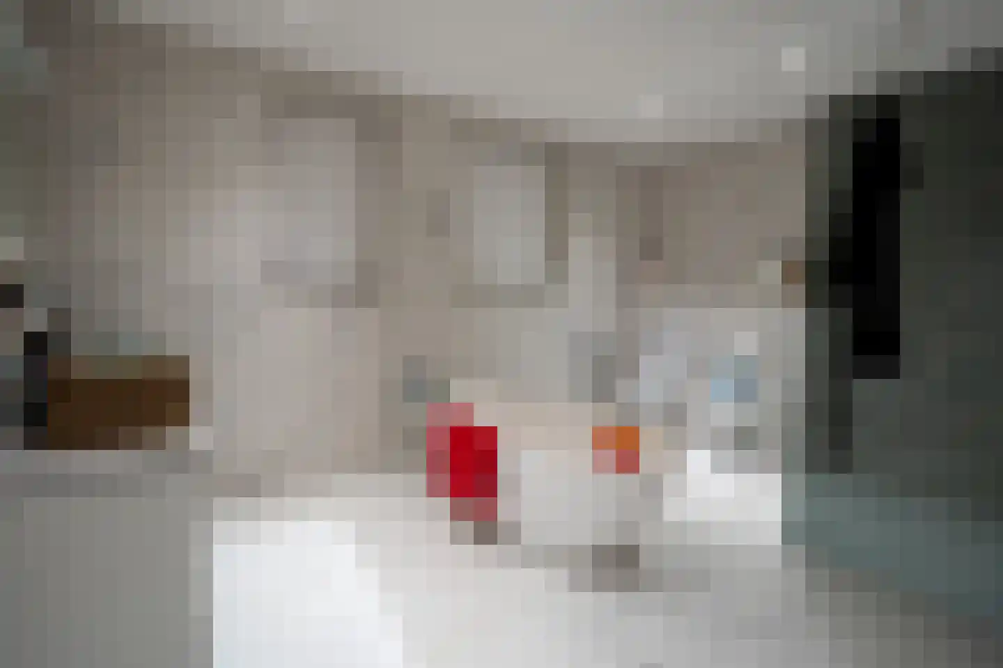 Grensweg 81 Denekamp thumbnail 43