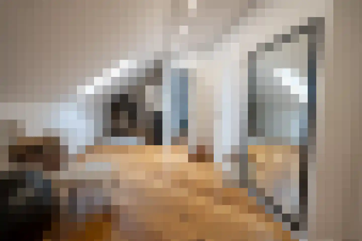 Grensweg 81 Denekamp thumbnail 44