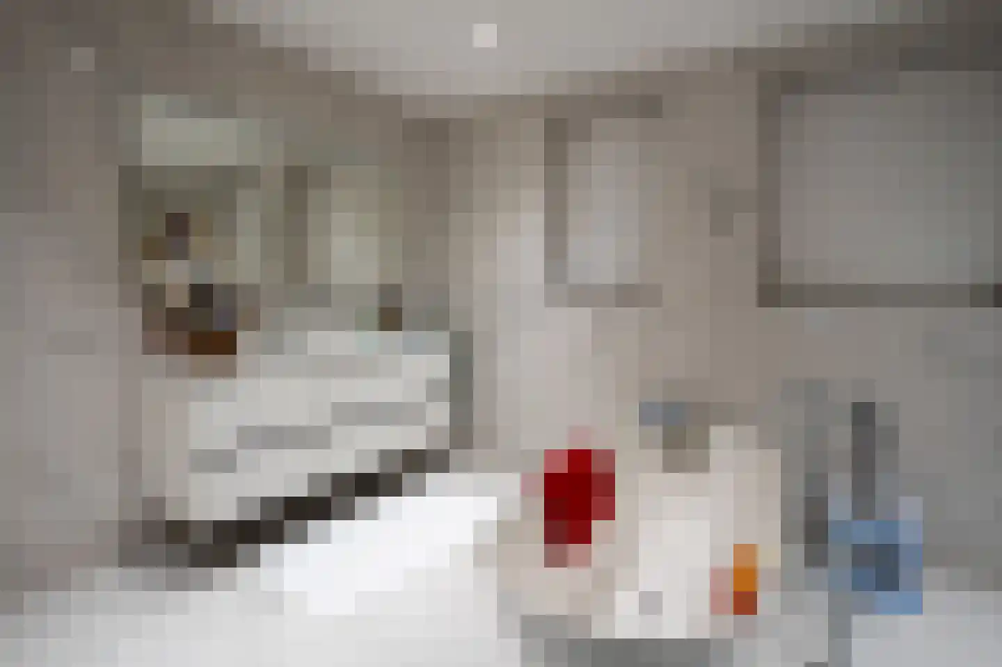 Grensweg 81 Denekamp thumbnail 47