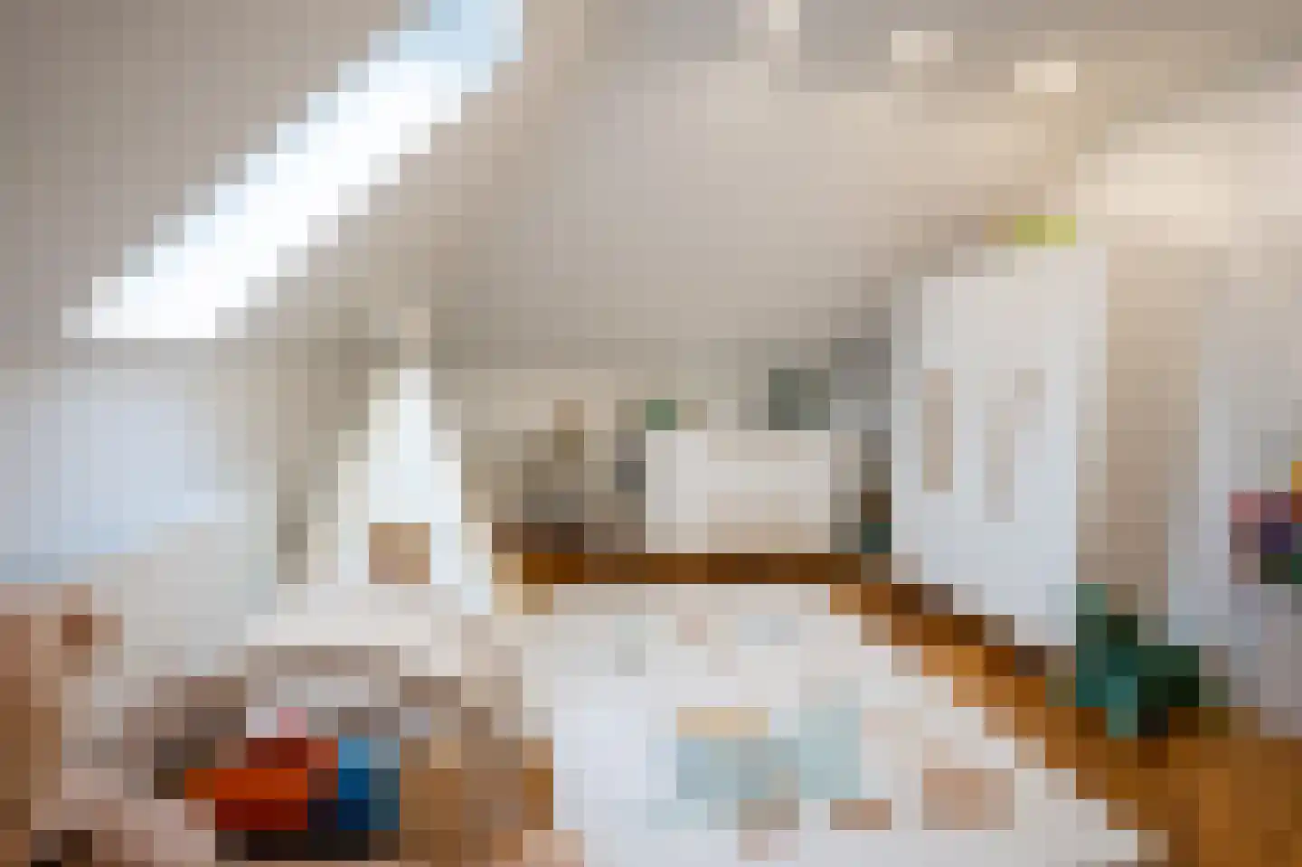 Grensweg 81 Denekamp thumbnail 48