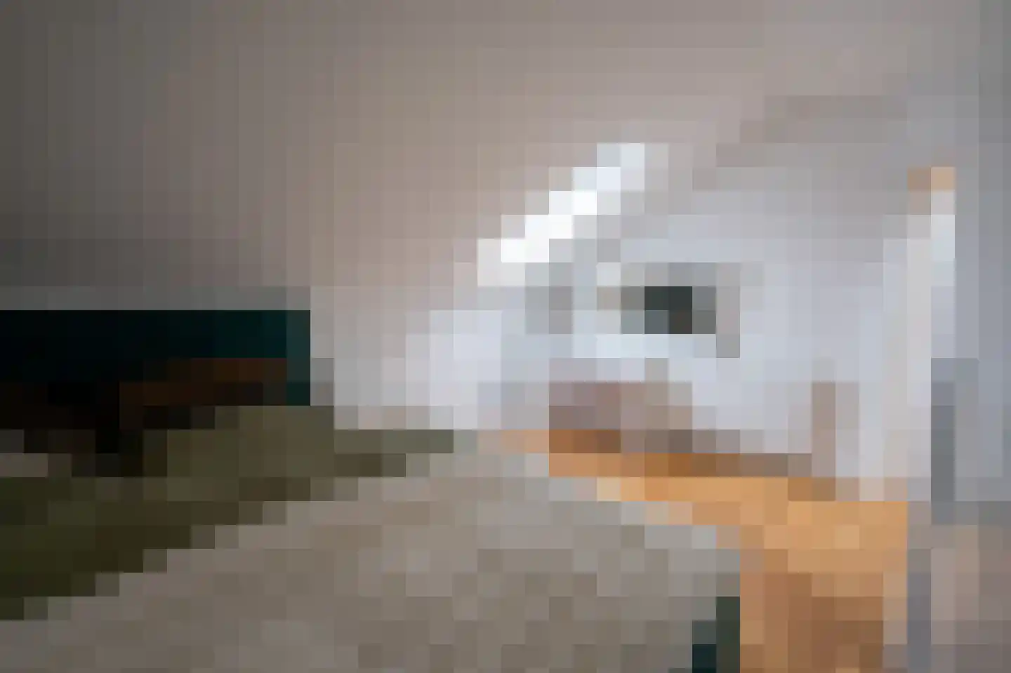 Grensweg 81 Denekamp thumbnail 49