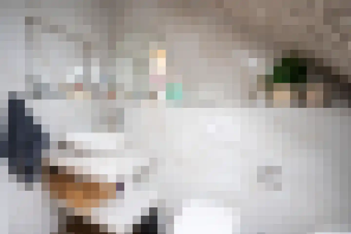 Grensweg 81 Denekamp thumbnail 51