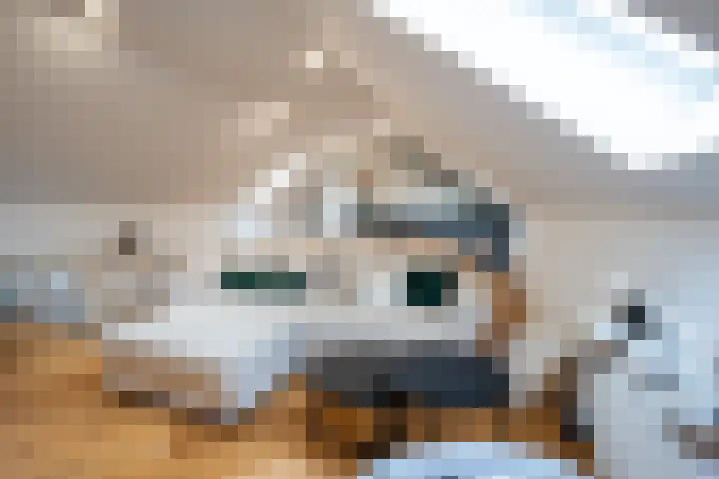 Grensweg 81 Denekamp thumbnail 55