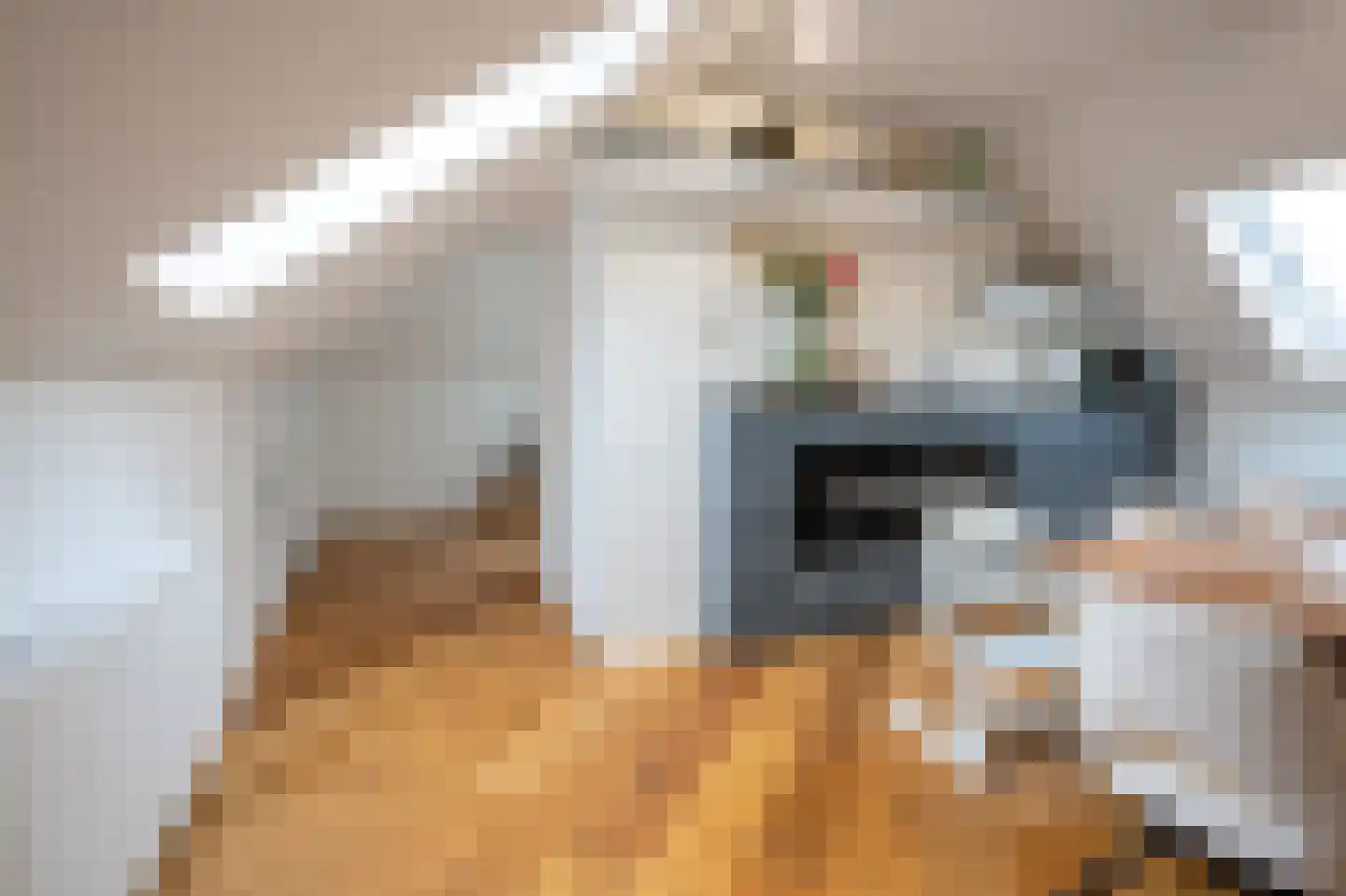 Grensweg 81 Denekamp thumbnail 58