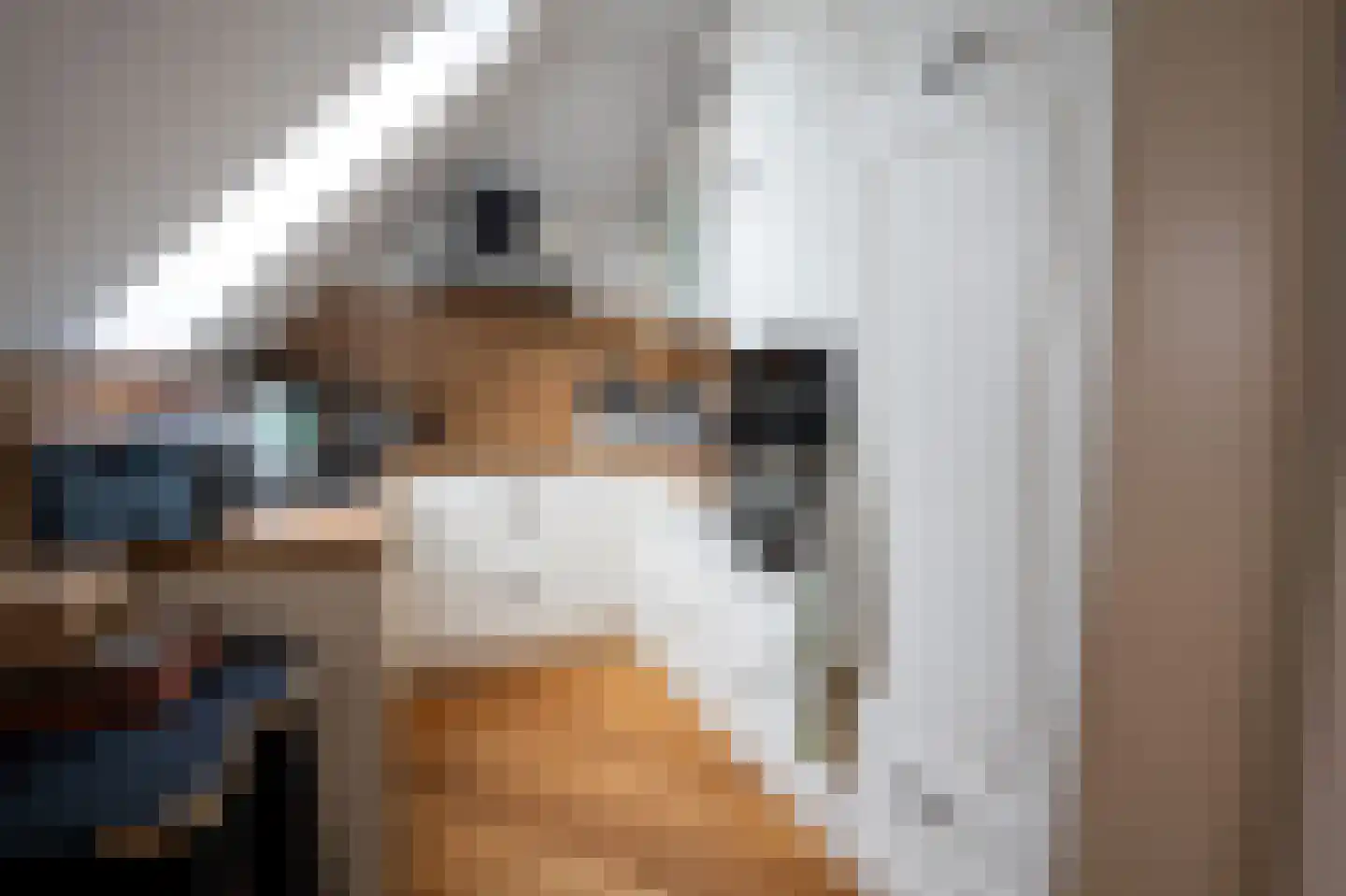 Grensweg 81 Denekamp thumbnail 59
