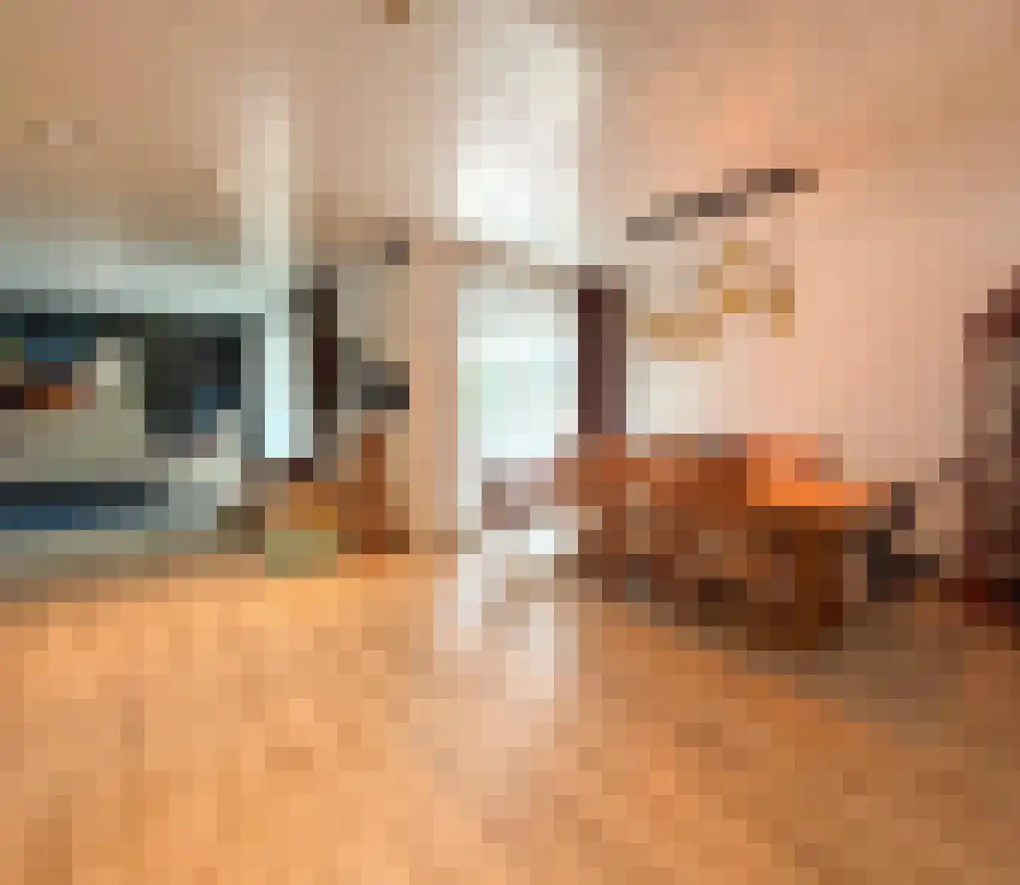 Grensweg 81 Denekamp thumbnail 60