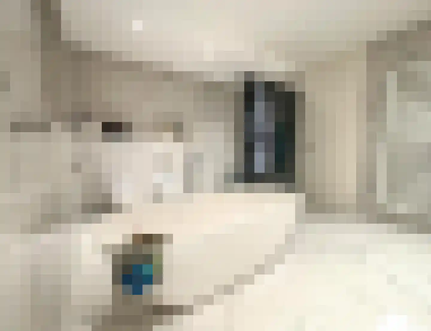 Grensweg 81 Denekamp thumbnail 62
