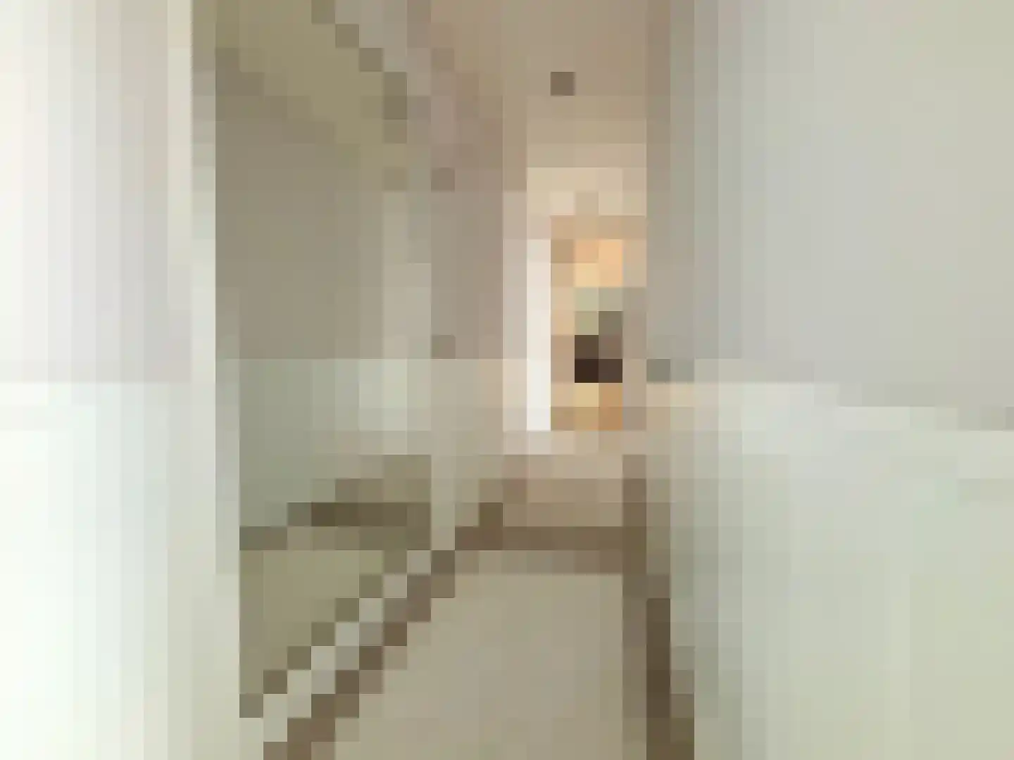 Grensweg 81 Denekamp thumbnail 68