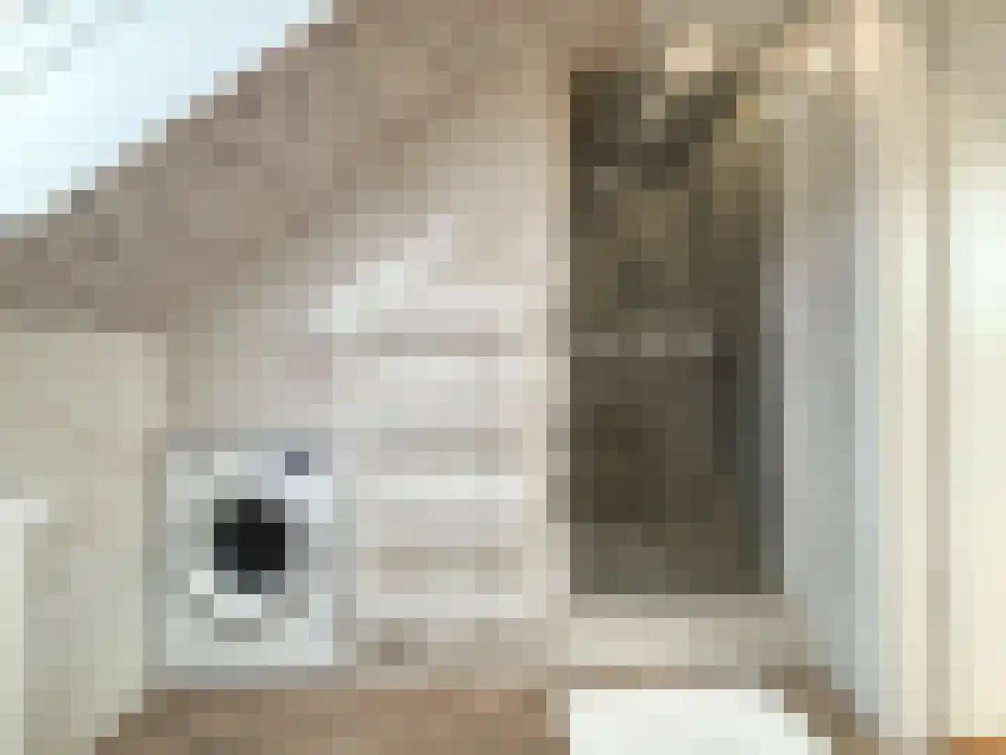 Grensweg 81 Denekamp thumbnail 69