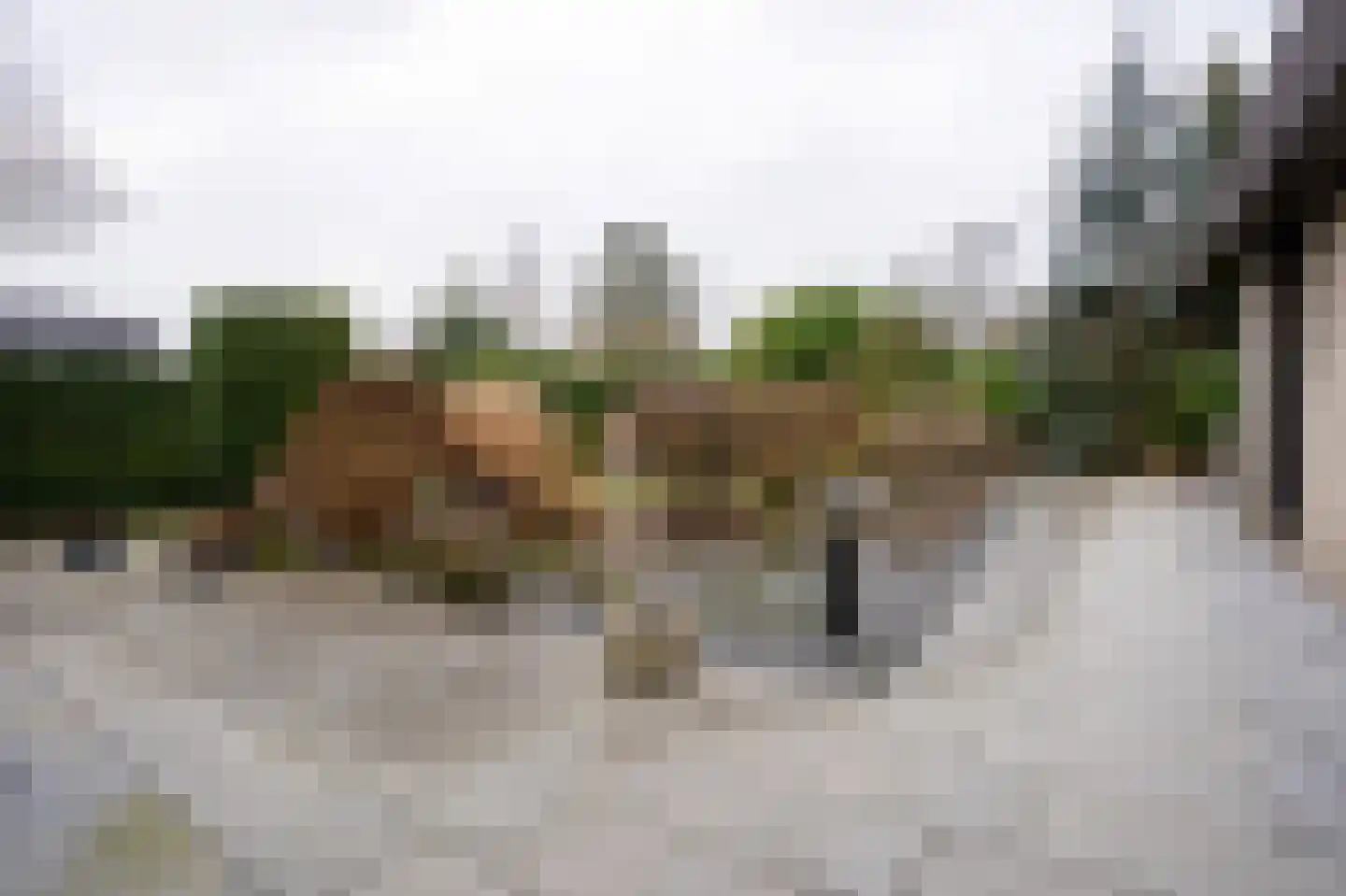Grensweg 81 Denekamp thumbnail 76