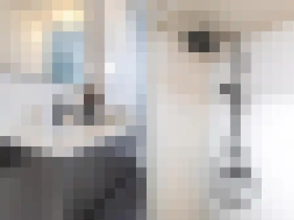 Grenulaan 18 Terneuzen thumbnail 6