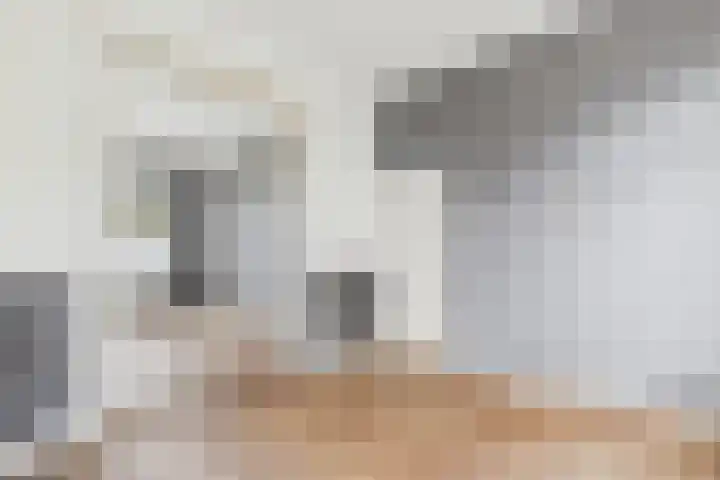 Grenulaan 2 Terneuzen thumbnail 12