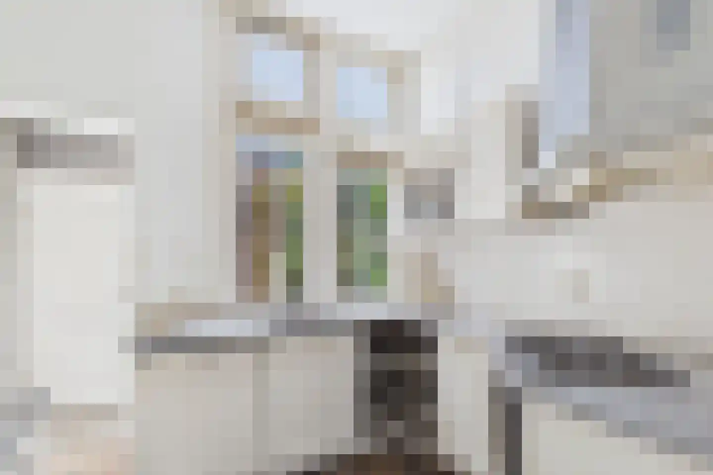 Grenulaan 2 Terneuzen thumbnail 13