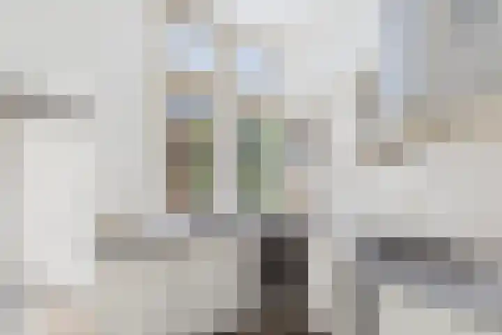 Grenulaan 2 Terneuzen thumbnail 13