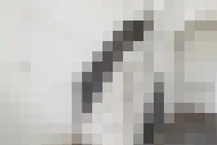 Grenulaan 2 Terneuzen thumbnail 20