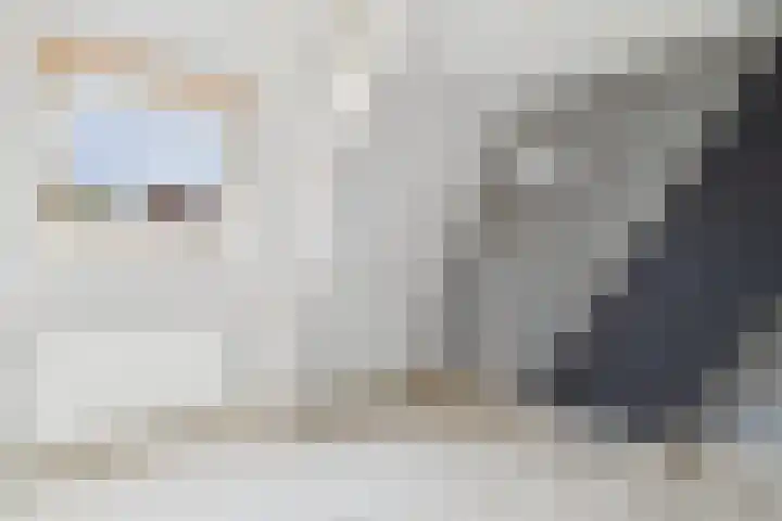 Grenulaan 2 Terneuzen thumbnail 24