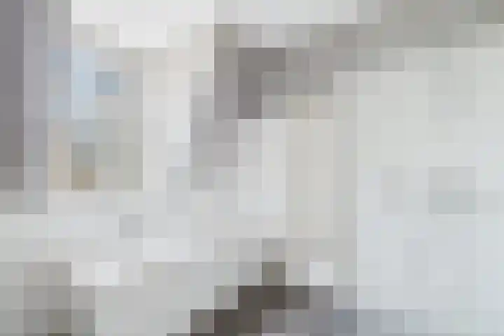 Grenulaan 2 Terneuzen thumbnail 29