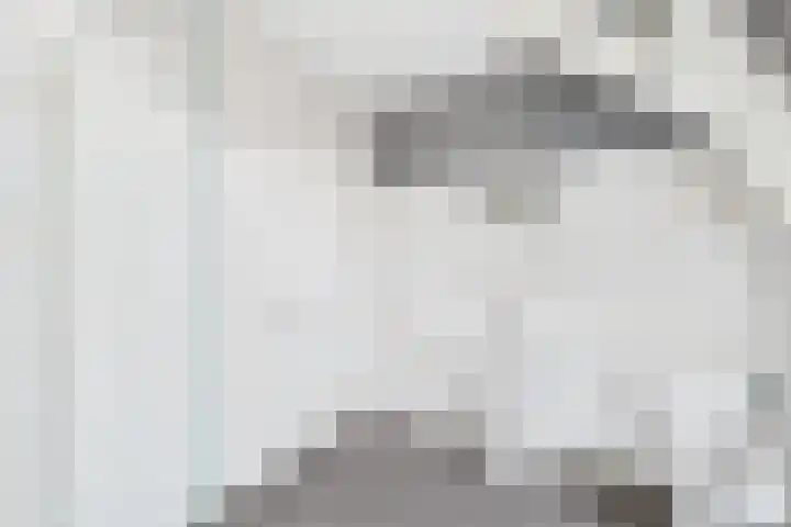 Grenulaan 2 Terneuzen thumbnail 31