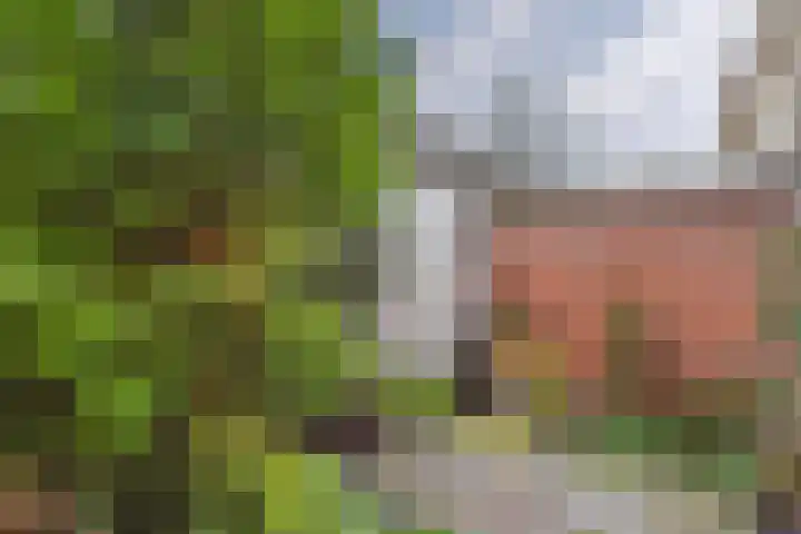 Grenulaan 2 Terneuzen thumbnail 33