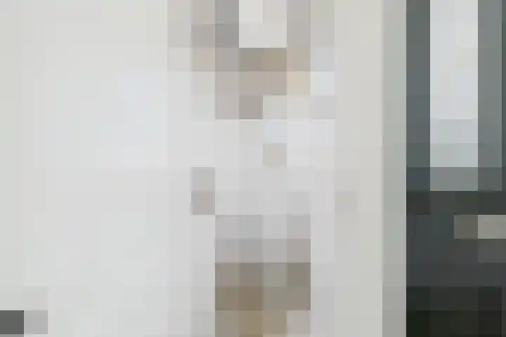 Grenulaan 2 Terneuzen thumbnail 4