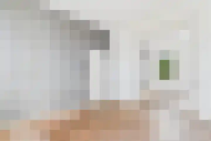 Grenulaan 2 Terneuzen thumbnail 9