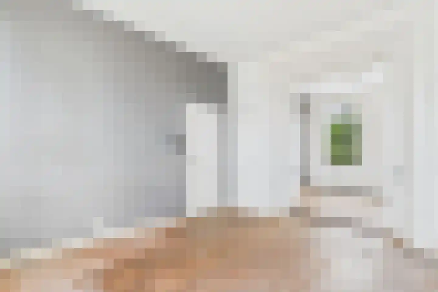 Grenulaan 2 Terneuzen thumbnail 9