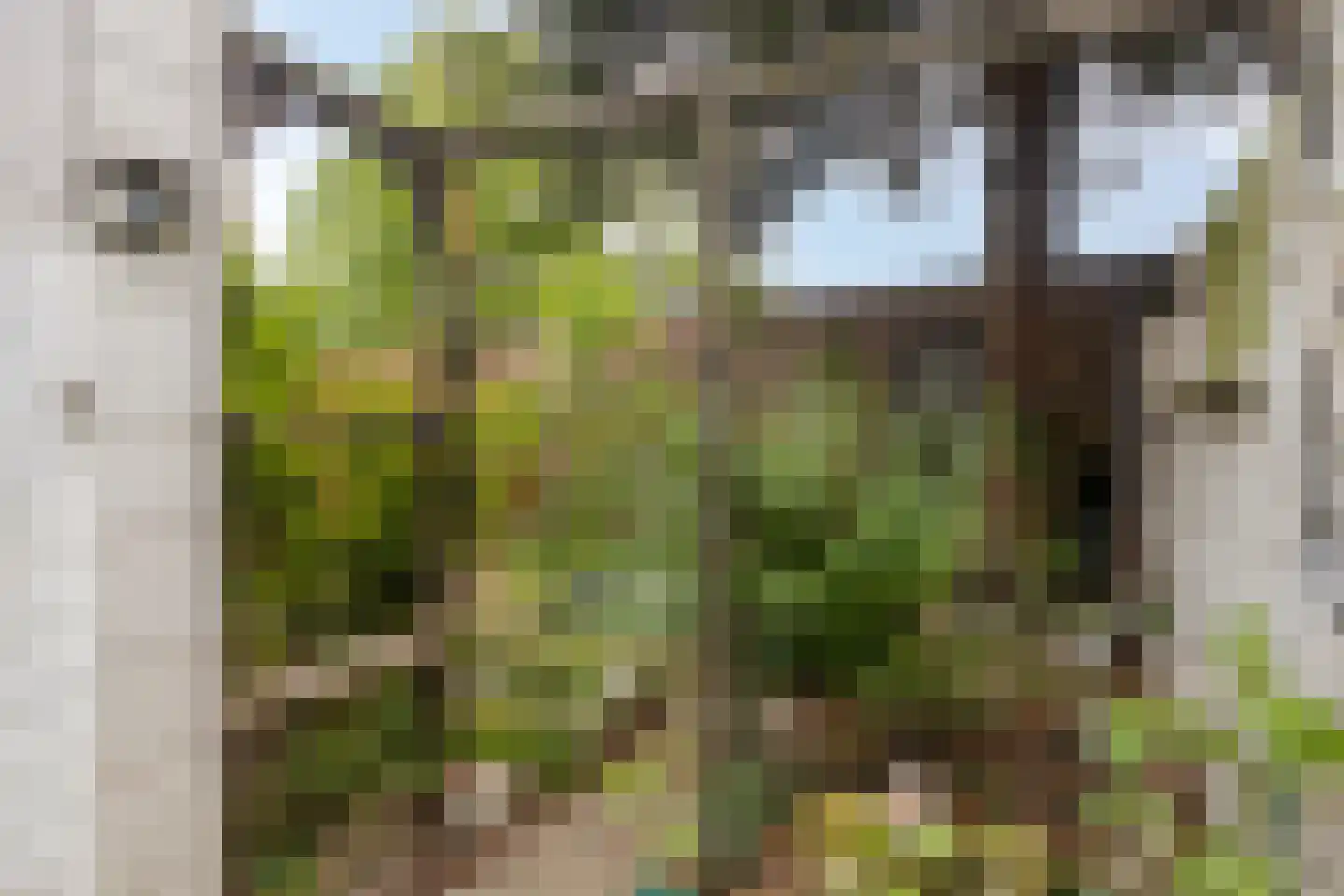 Grenulaan 22 Terneuzen thumbnail 21