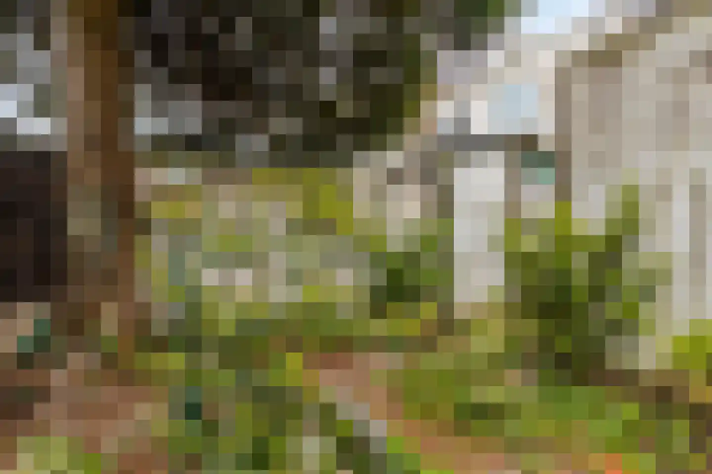Grenulaan 22 Terneuzen thumbnail 23