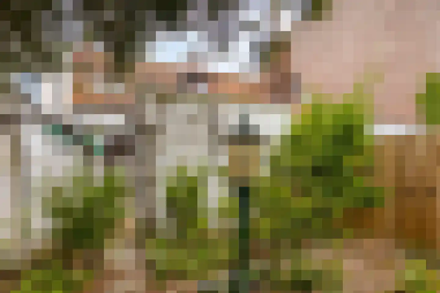 Grenulaan 22 Terneuzen thumbnail 24
